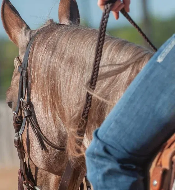 Martin Saddlery Latigo Braided 5-Strand Roping Rein 3/4-inch Thick Buckle Snap Ends