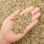 Coarse Sand Stone - Silica Sand for Plants, Soil Cover Succulents and Cactus Bon