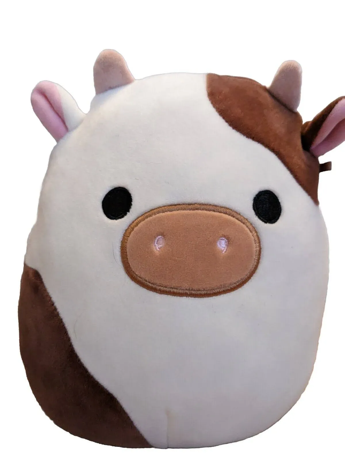 8” Ronnie Cow Squishmallow 2021 Easter Edition Brown and White RARE