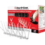 Bird-B-Gone Bird Repelling Spikes For Assorted Species 1 pk (Pack of 4)