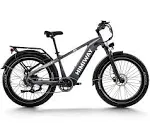 Himiway Zebra D5 Fat Tire Electric Hybrid Bike