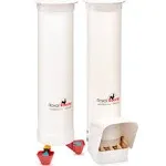 Royal Rooster Chicken Feeder and Waterer Set