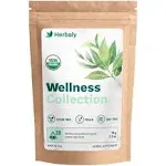 Herbaly Wellness Collection Organic Herbal Ginger Tea, 70 g, 28 Count Bag (Pack of 1)