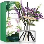 Cocodor Lavender Diffuser / 6.7oz [Little_Forest]