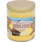 Smoke Odor Exterminator Candle - Pineapple Coconut