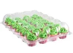 Katgely 24 Disposable Cupcake Box Container - Pack of 6 - Deep Dome for Tall Frosting Decoration - Plastic - PBA Free, Clear