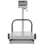 500 LBS X 0.1 LBS - 250 KG X 0.05 KG STEEL CONSTRUCTION, LARGE LCD DISPLAY WITH BACKLIGHT, TOGGLES BETWEEN KILOGRAMS AND POUNDS, 100 HOUR RECHARGEABLE BATTERY, TARE FUNCTION.