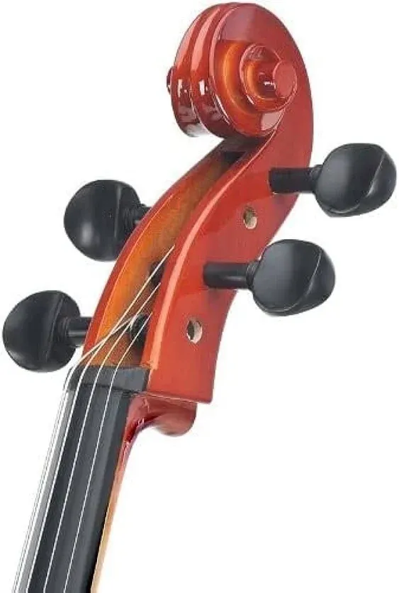 Cecilio - Full Size Cellos for Kids & Adults with Bow, Case and Stringsac