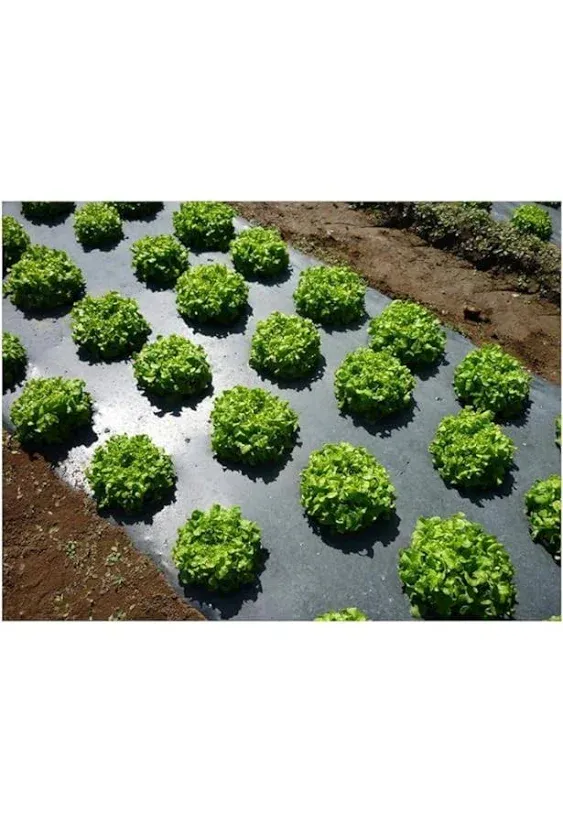 Grower's Solution Black Plastic Mulch 4ft. X 100ft. 1.0 Mil Embossed