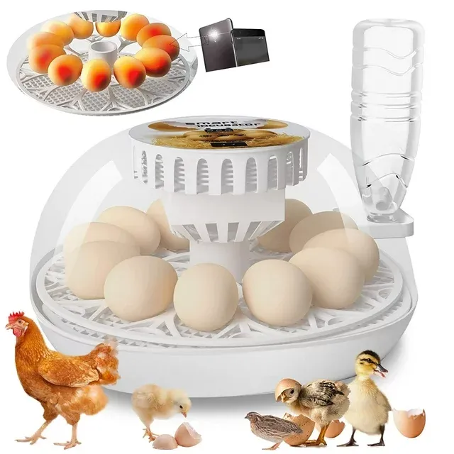 Caannasweis Egg Incubators 12 Eggs Chicken Incubators Farm Poultry Hatcher Machine Automatic Egg Turning Temperature Control for Hatching Eggs