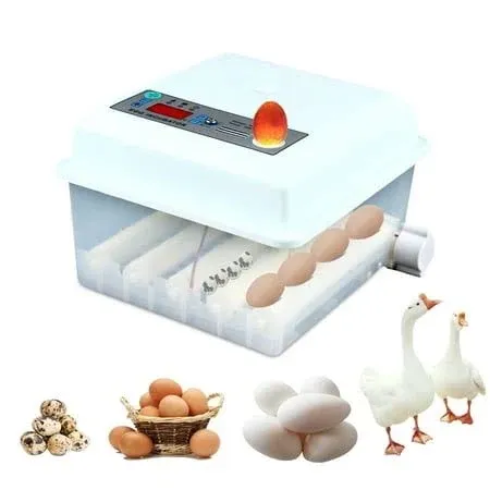 Eggs Incubator, Automatic Egg Turner, Temperature Humidity Control, Egg Candler ...