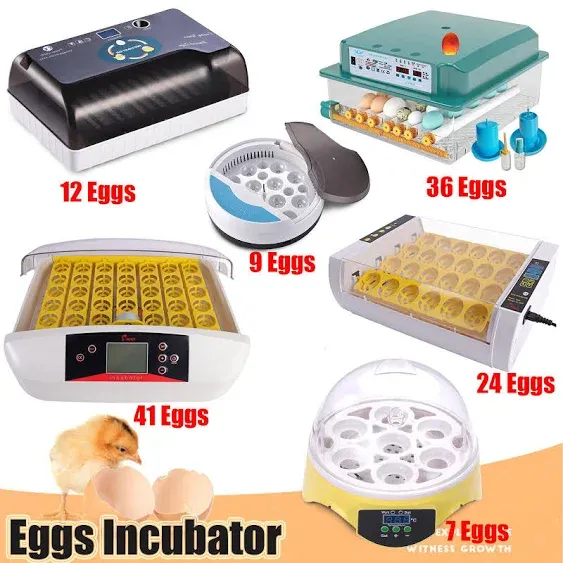 Digital Egg Incubator Automatic Chicken Quail Bird Hatcher Temperature Control