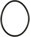 Pentair 59000600 Bulkhead O-Ring Replacement FNS Plus Pool and Spa D.E. Filter