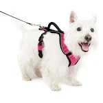 EasySport Comfortable Dog Harness Pink 1ea/SM