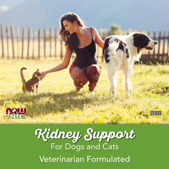 Now Kidney Support for Dogs & Cats