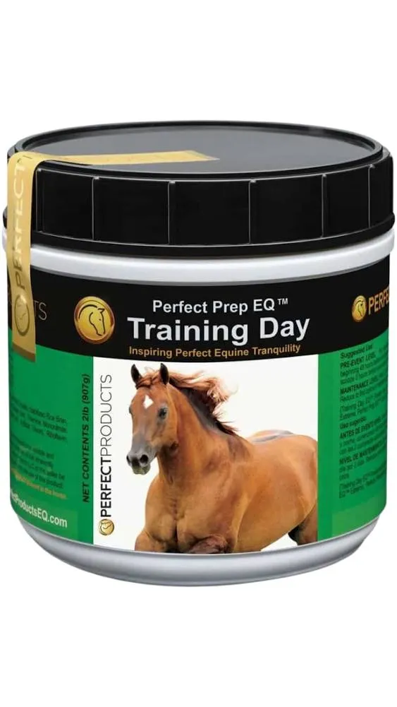 Perfect Prep EQ Training Day - 10 Pound