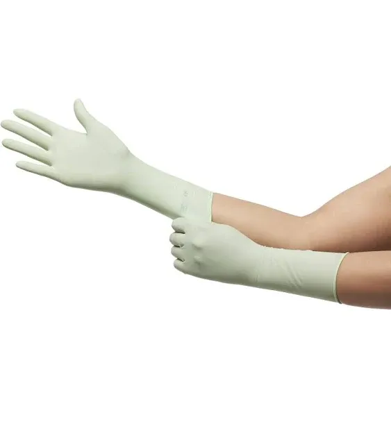 McKesson Perry Performance Plus Polyisoprene Surgical Glove, Size 6, Green