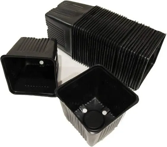 Square Quart Nursery Pots - 4.25" Square x 4.9" deep (50)