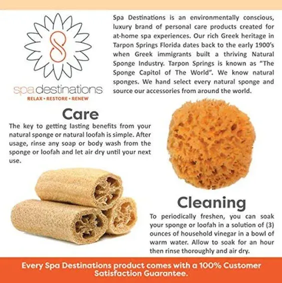  Natural Sea Wool Sponges by Spa Destinations (Choose Size)