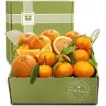 Golden State Fruit Citrus Duet Gift Box