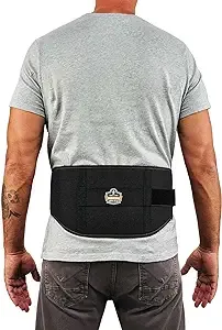 Ergodyne ProFlex 1500 Weight Lifters Style Back Support Belt, Large, Black