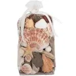 Coral Beach Seashells Decorative Potpourri Bowl Filler