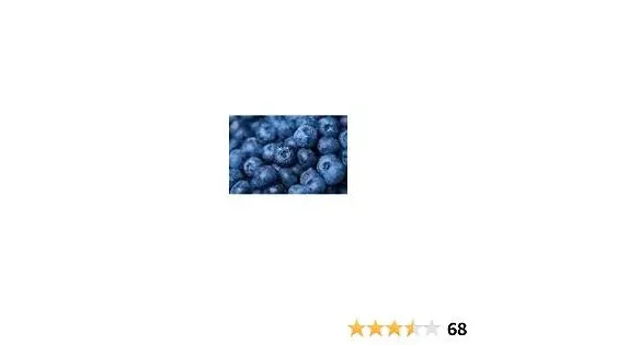 BLUEBERRIES FRESH PRODUCE FRUIT VEGETABLES PINT 10 OZ