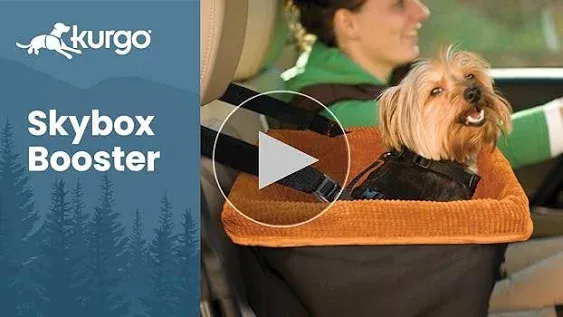 Kurgo Dog Booster Seats for Cars - Pet Car Seats for Small Dogs and Puppies Weighing Under 30 lbs - Headrest Mounted - Dog Car Seat Belt Tether Included - Skybox Style, Black/Orange