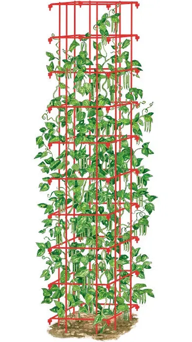 Gardeners Supply Company Large Bean Tower Plant Support | Sturdy Weatherproof Outdoor Beans, Cucumber, Pea Trellis & Other Climbing Vegetable Garden Plants Stake | Best for Small Space Garden - 75" H