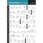 NewMe Fitness Workout Posters for Home Gym - Stretching Exercise Posters for Full Body Workout - Core, Abs, Legs, Glutes & Upper, Blue