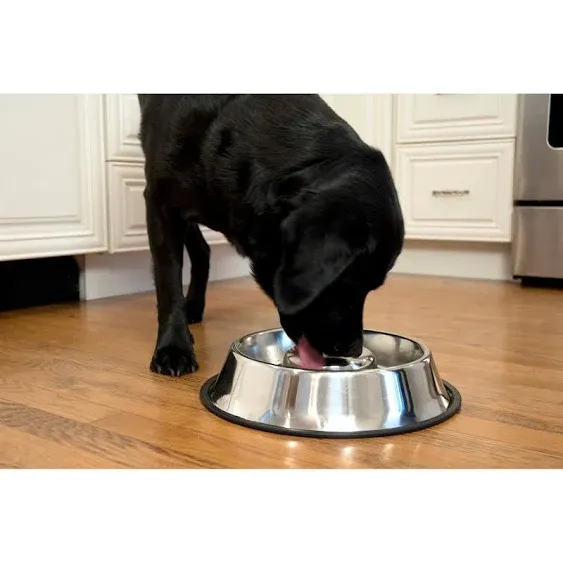 Iconic Pet Slow Feed Stainless Steel Pet Bowl for Dog or Cat - Medium - 24oz