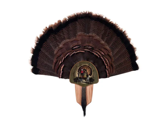 Walnut Hollow Country Turkey Mounting Kit with Image