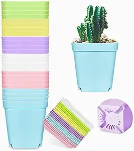 Anyumocz 24 Pack 3inch Multi Color Square Plastic Plant Pots,Seedling Nursery Transplanting Planter Container Indoor Outdoor for Your Room,Garden Office and Balcony Decor