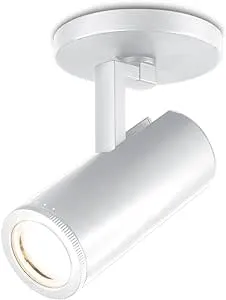 LED Spot Light from the Paloma collection in White finish