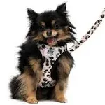 Harness & Leash Set