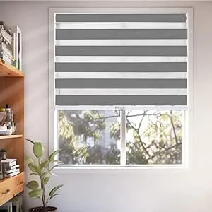 Chicology Everyday Cordless Light Filtering Zebra Window Shades - 22"W x 72"H - Basic Slate