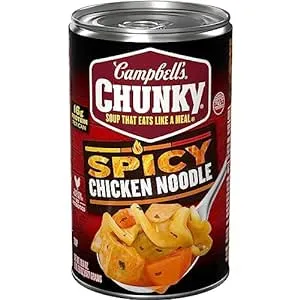 Campbells Chunky Spicy Chicken Noodle Soup, 18.6 Ounce -- 12 per case