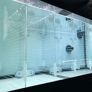 Acrylic Aquarium Divider Kit 5.5/10 / 20L / 20H / 29 / 40B / 55/75 / 125gal Fish Tank with Suction Cups (10gal Top Fin)