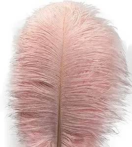 Lampu 10pcs Ostrich Feathers 12-14 inch(30-35cm) Plume Home Wedding Decoration ...