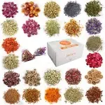 24 Bags Dried Flowers 100% Natural Dried Flowers Herbs Kit for Soap Making