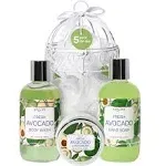 Spalife Avocado Shower Bird Cage 4 Piece Gift Set