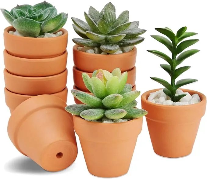 Juvale 10-Pack 2-Inch Mini Terracotta Pots with Drainage Holes for Succulents, Plants, Herbs, and Flowers, Small Clay Pot Planters for Indoor and Outdoor Gardening, Crafts