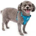 Kurgo Blue Tru-Fit Dog Walking Harness