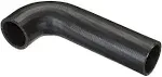 Spectra Fuel Filler Hose FNH169