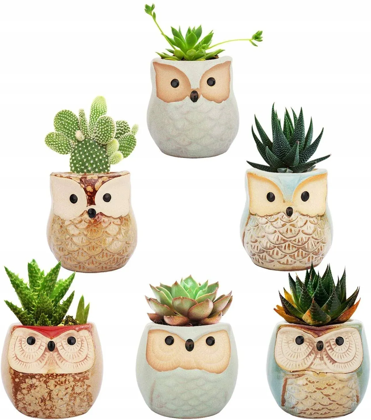 Lewondr Succulent Plant Pot, 6 Pack 2.5 inch Mini Small Ceramics Owl Flower Bonsai Plant Pots for Cactus Herbs Housewarming Gift Planter con