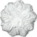 White Capia Flowers Bulk Wholesale Flat Carnation Base 144 Pieces