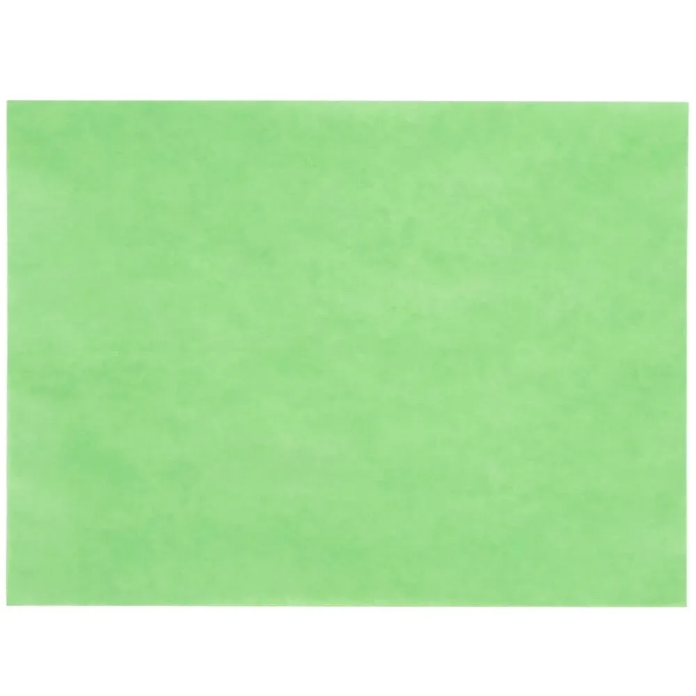 Choice 9" x 12" 40 lb. Green Steak Paper Sheets - 1000/Case