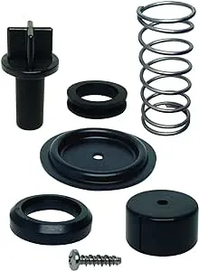 Quicksilver Poppet Valve Kit