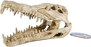 Penn Plax Crocodile Skull Aquarium Ornament