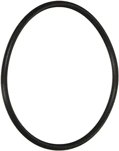 Pentair 59000600 Bulkhead O-Ring Replacement FNS Plus Pool and Spa D.E. Filter